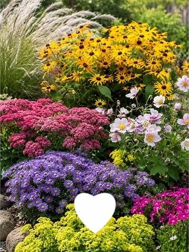 Plantas de jardim populares
